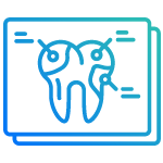 Services | Peter Foros Aktinografies